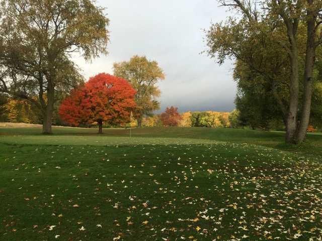 A fall view from Limberlost Golf Club