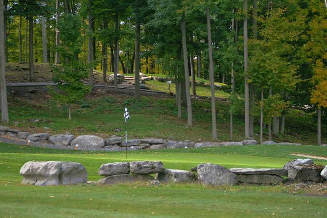 Black Bear Ridge GC: Green view