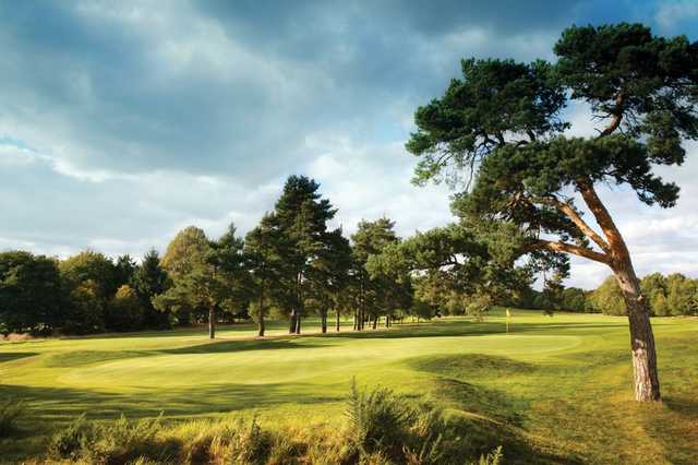 Fantastic view of the 1st green at Hadley Wood Golf Club