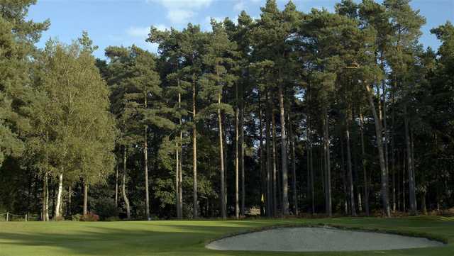 A view of a green at Sunningdale Heath Golf Club