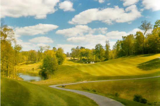 A sunny view from Pheasant Ridge Golf Club