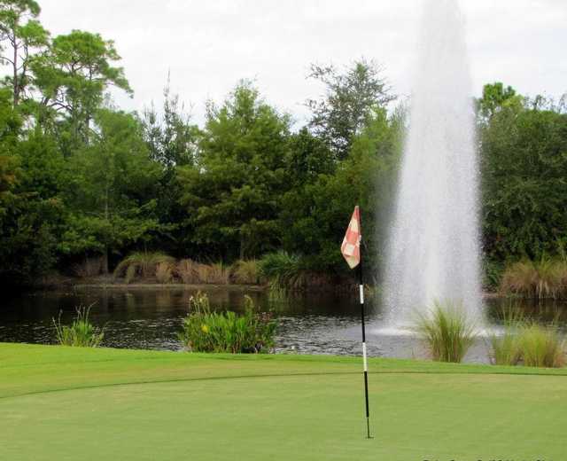 A view of a green with water coming into play at Palm Cove Golf and Yacht Club