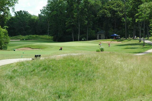 View of a green at Red Tail Run Golf Club