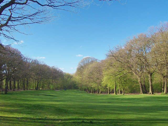 A tight looking tee shot at Belfairs Golf Course