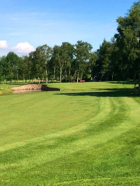 The approach to the 18th and surrounding trees at Lee Park Golf Club