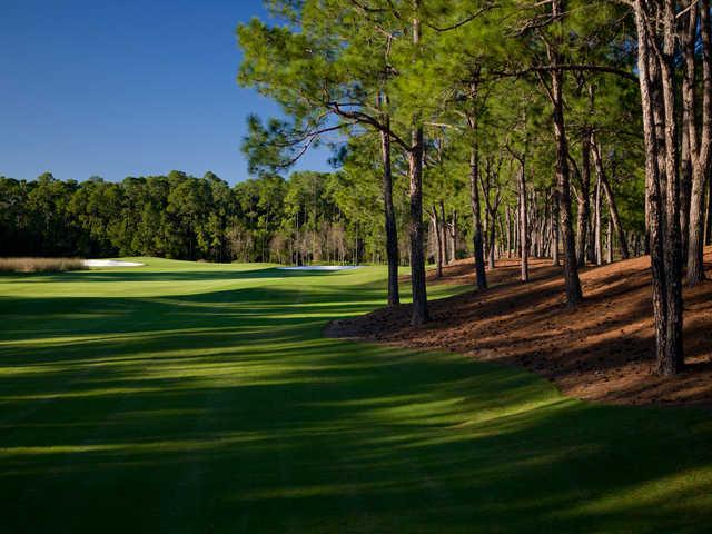 View from Tranquilo Golf Club at Four Seasons Resort Orlando