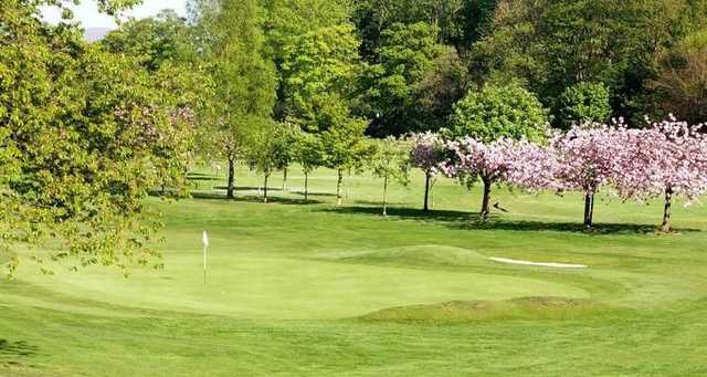 Tricky green to hit on the 15th at Murrayfield GC