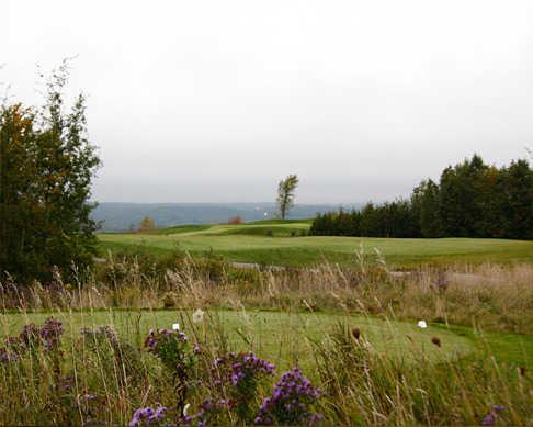 View from Hockley Valley GC's 9th green