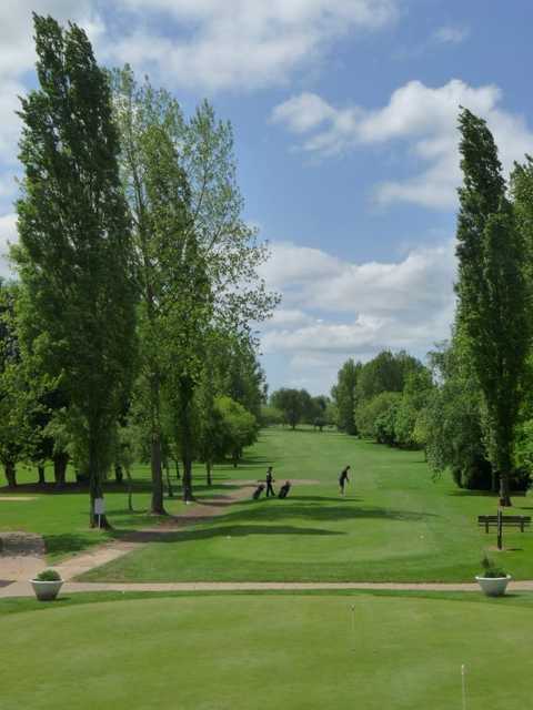 Mature trees line the fairway at Windmill Hill