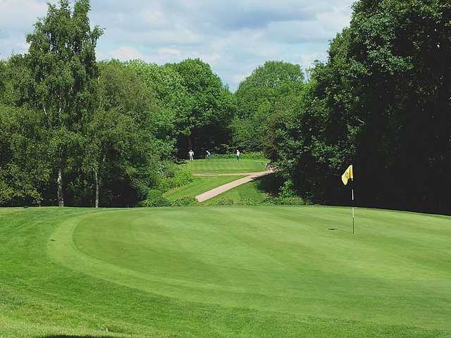 Tricky shot on the 8th at Hallowes Golf Club