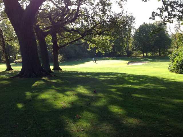 View of the 11th green through the trees at Chester-le-Street Golf Club