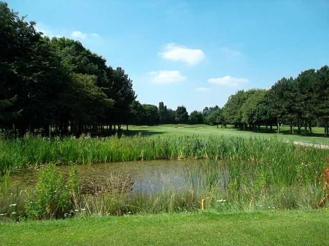 A view from the 4th green looking across the pond at Panshanger Golf Club