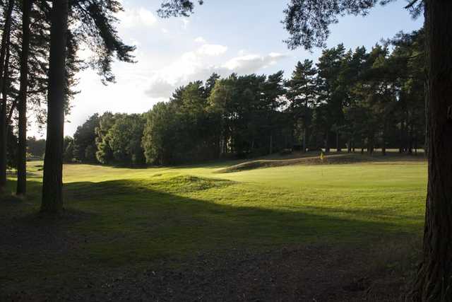 View from the trees on the 11th at Market Rasen Golf Club