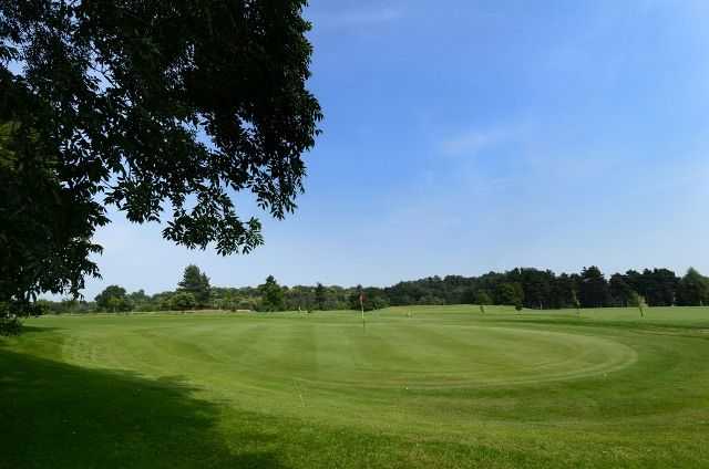 Great example of the superb conditions at Bewdley Pines on the 15th