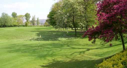 Green and surrounds at Allestree Park Golf Course