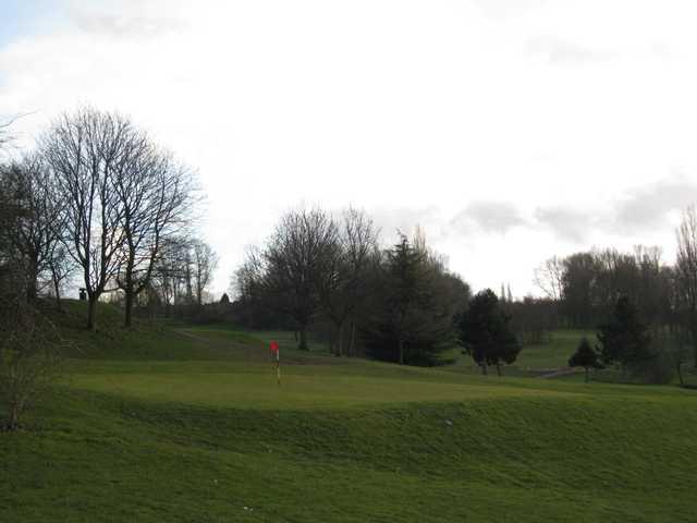 A view of the 15th green and surrounding trees at Brandhall Golf Club