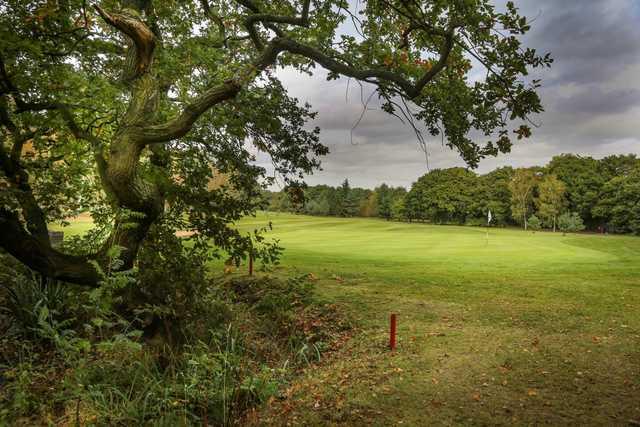 View from behind the tree of the 9th green at Helsby Golf Club