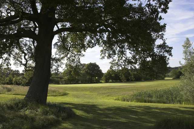 From the 7th green, one of the many mature oaks found at Hartley Wintney Golf Club can be seen.
