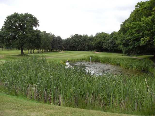 The pond that stands between the tee and the green on the 14th at Romiley