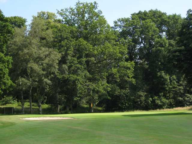 The 8th green and neighbouring trees at Henlle Park Golf Club