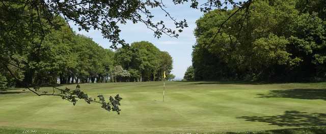 A greenside view of the 8th at Epsom