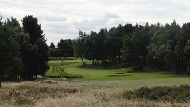 The heavily wooded area surrounding the greens will penalise any errant shots