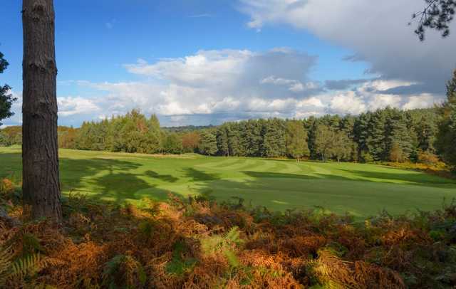 A look over the 16th green at Tilgate Forest Golf Centre.