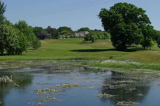 Avoiding the water hazards to make it to the green is easier said than done