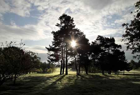 You will find plenty of tree hazards during your round at Kedleston