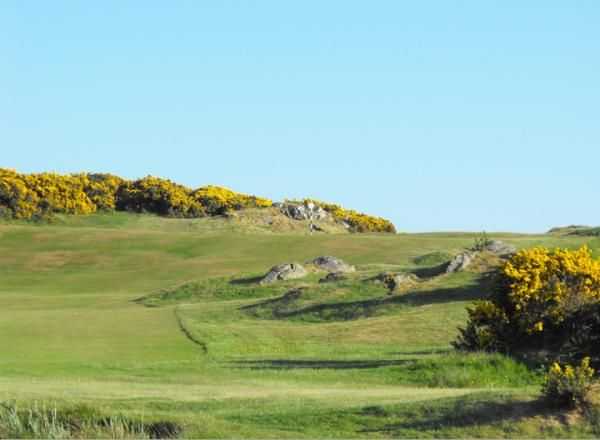 St Deiniol Golf Course - hill top view from the 11th 