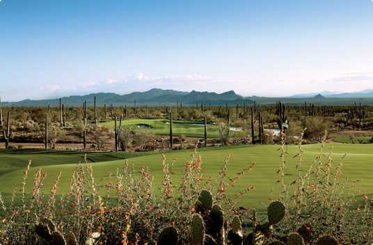 A view at Tortolita from The Golf Club at Dove Mountain