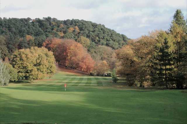 A forest lined fairway at the Lickey Hills Golf Club
