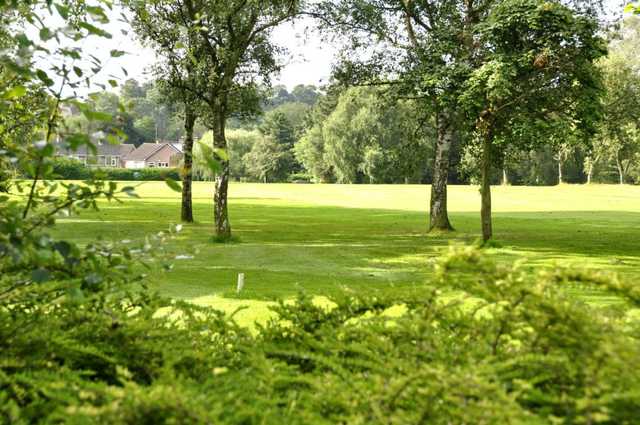 View through trees at Pype Hayes Golf Club