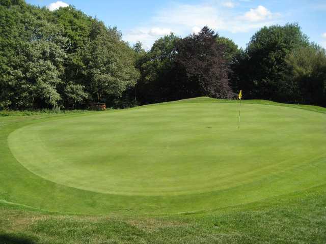 View of the 18th green at Hillsborough Golf Club