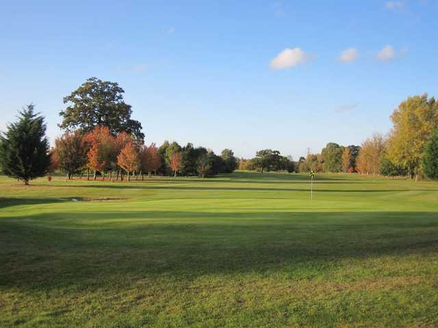 Fairway and green at Theale GC