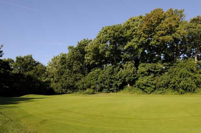 The 3rd green surrounded by trees at Shirley Park Golf Club 
