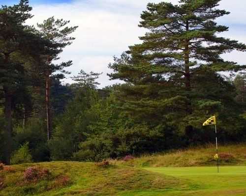 Green from Crowborough Beacon Golf Club