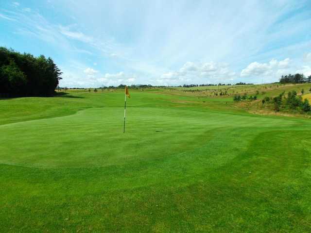 Immaculate greens at Forbes of Kingennie 