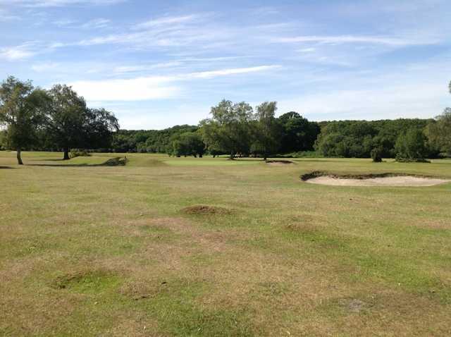 A view of the 12th approach at New Forest Golf Club
