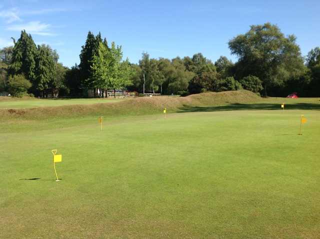 The putting green at New Forest Golf Club 