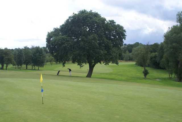 The challenging 8th green at Manor Golf Club