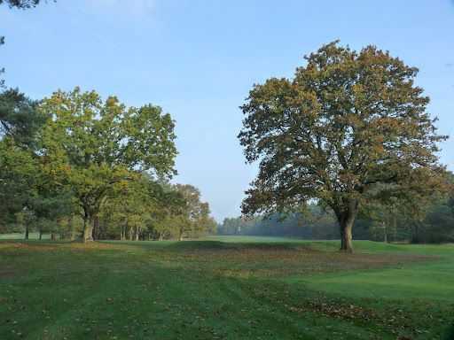 Trees on the course at Thetford Golf Club