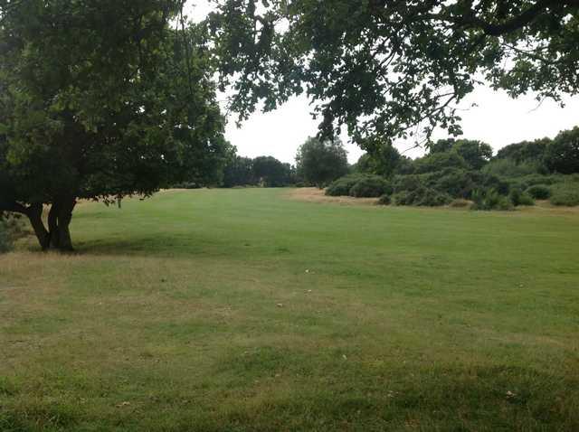 The tree lined 10th approach at Rushmere Golf Club