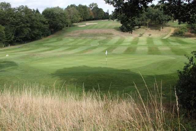 Image of the 6th green at Moseley GC