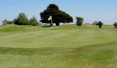 Well maintained putting surface at The Dyke Golf Club.