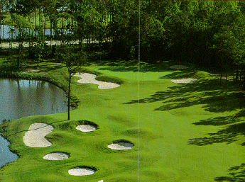 Jones at Sea Trail Golf Resort and Convention Center
