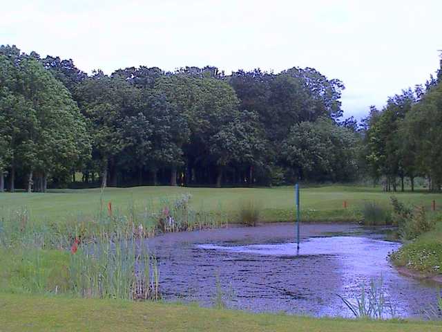Pond at Poulton Park