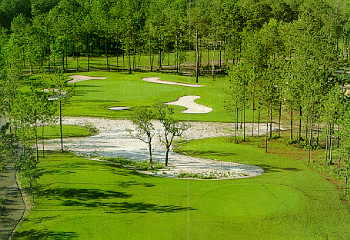 Byrd at Sea Trail Golf Resort and Convention Center