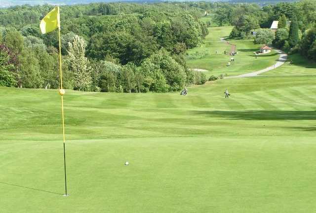 Green at Tankersley Park