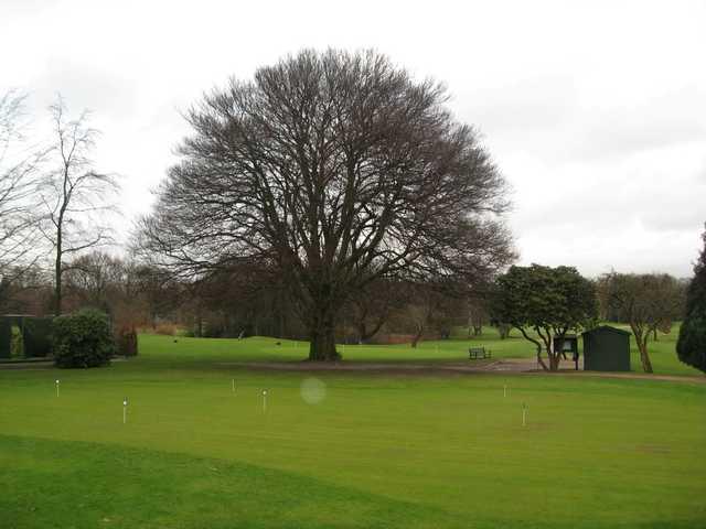The putting green at tree back drop at Sale Golf Club